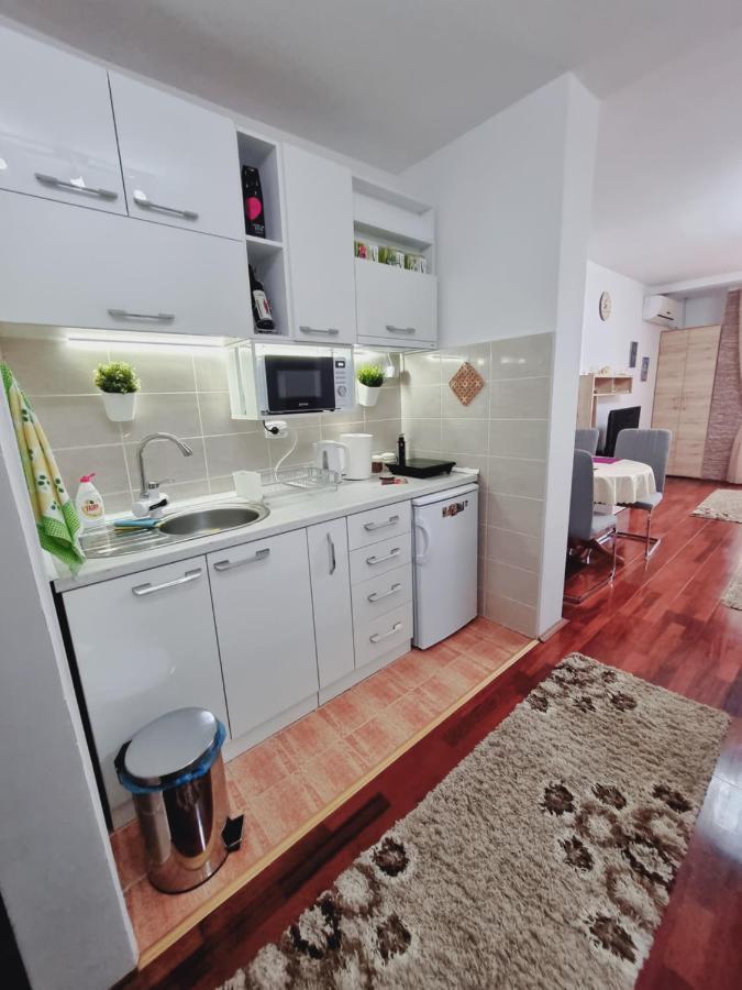 Apartman Temida Lux Vrnjačka Banja Esterno foto
