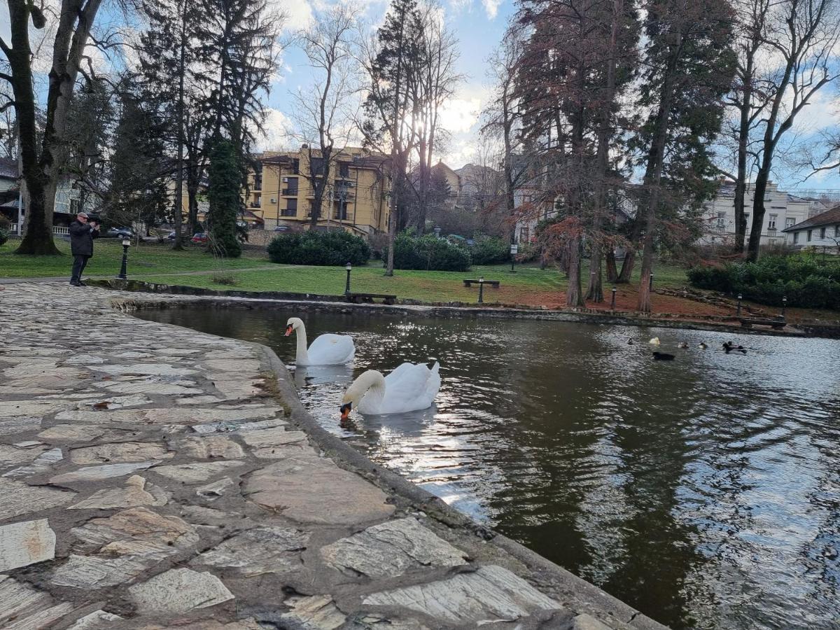 Apartman Temida Lux Vrnjačka Banja Esterno foto