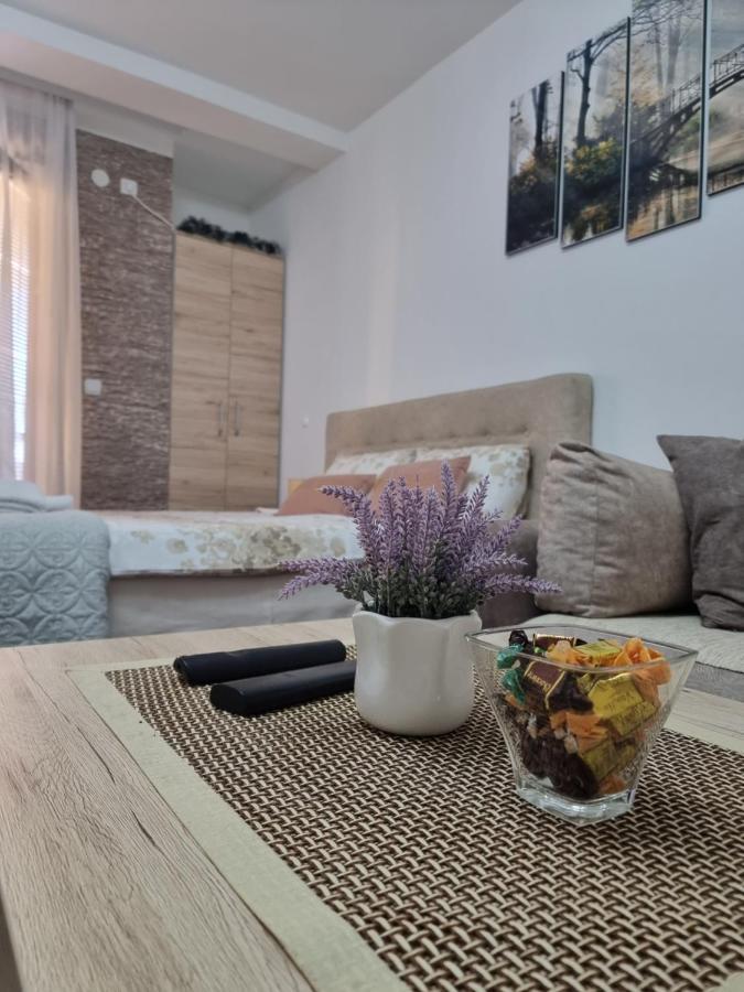 Apartman Temida Lux Vrnjačka Banja Esterno foto